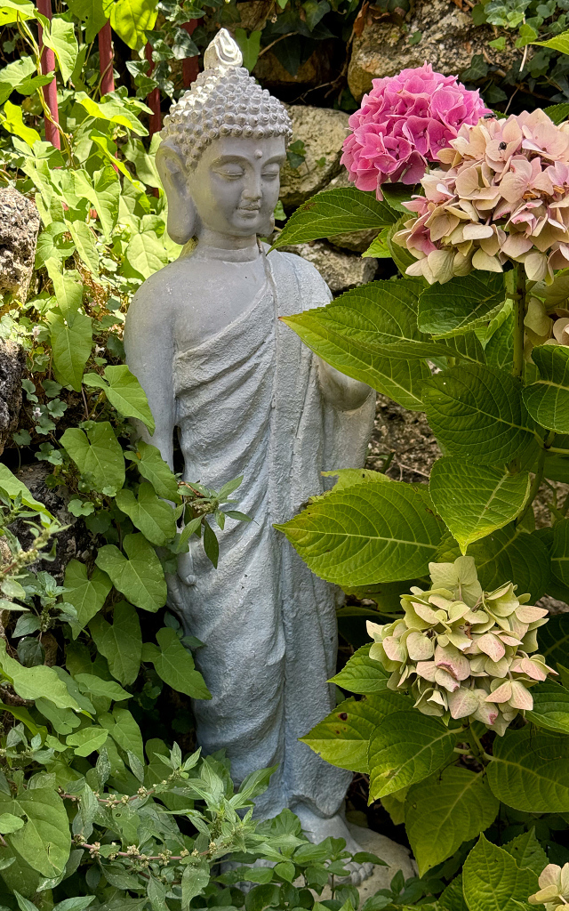 IMG_4705