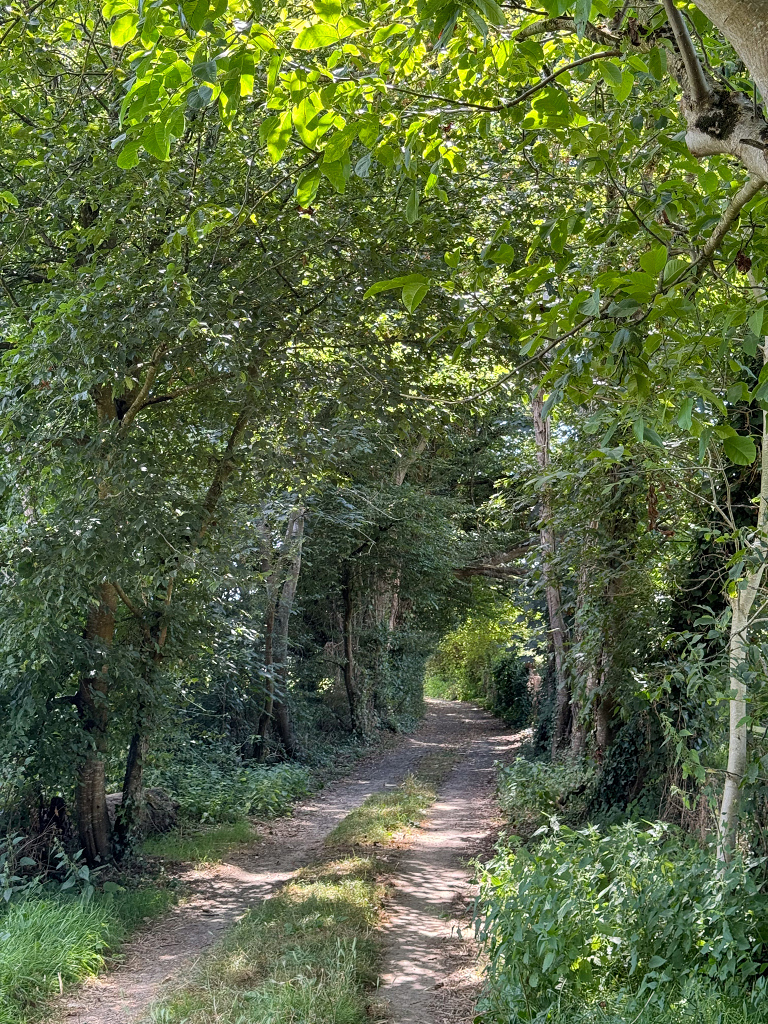 IMG_4859