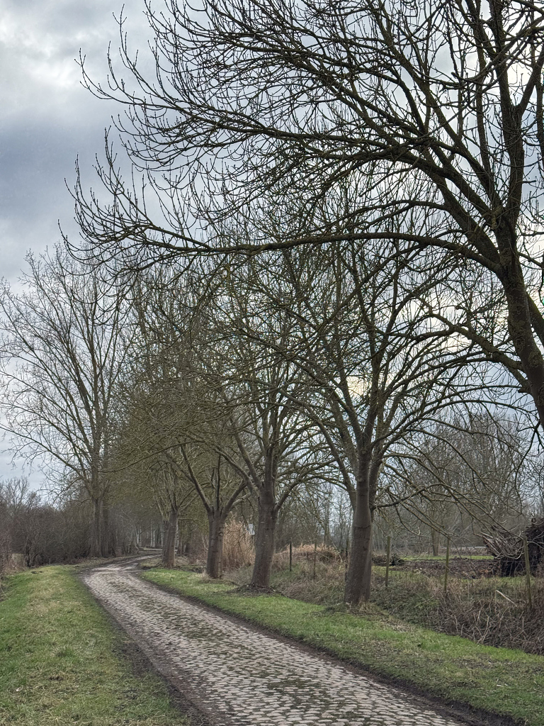 IMG_9632